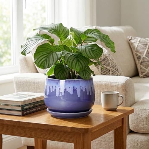 Ceramic Planter for Plants- 9 Inch Plant Pots Indoor with Drainage and Saucer, Decorative Planters, Durable Round Indoor Flower Pot, Garden Room Decor, Plant Gifts for Women Men, Blue - Image 5