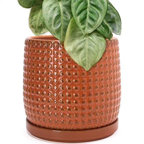 D'vine Dev Beaded Ceramic Pot with Saucer, 10 in, Pumpkin, 27-C-P-J by DvineDevPlanterPotsandStand