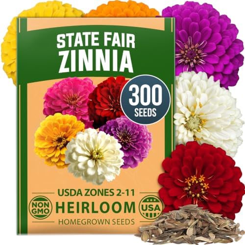 HOME GROWN State Fair Zinnia 300 Flower Seeds Zinnia elegans by HOMEGROWN