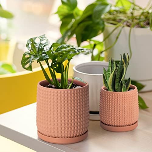 D'vine Dev Beaded Terracotta Planter Pots, 4/6 in,Terra Cotta, 27-D-U-7 - Image 2