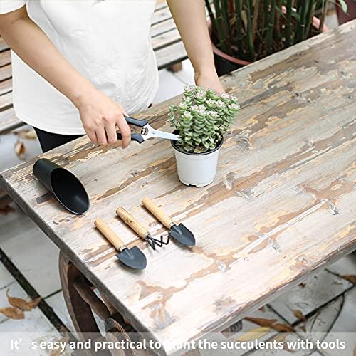 5 Pcs Succulent Tools, Mini Garden Tools, Small Indoor Plant Repotting Set - Image 6