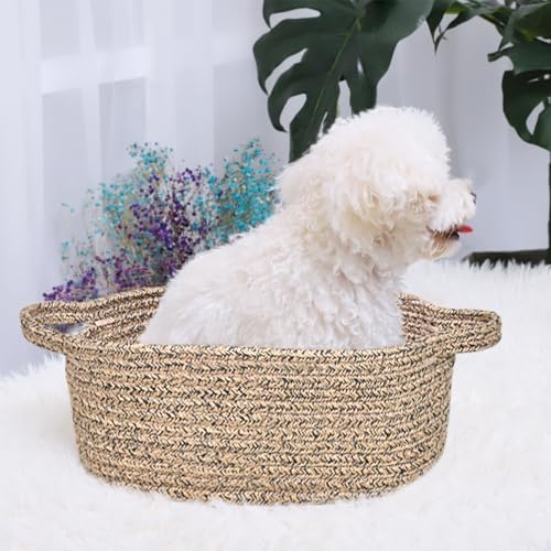 ABenkle Small Basket with Handles, Boho Decorative Rope Woven Dog Cat Toy Storage Bin Shelf Storage Organizer, Easter Christmas Gift Basket, 12"x8"x5" - Image 3