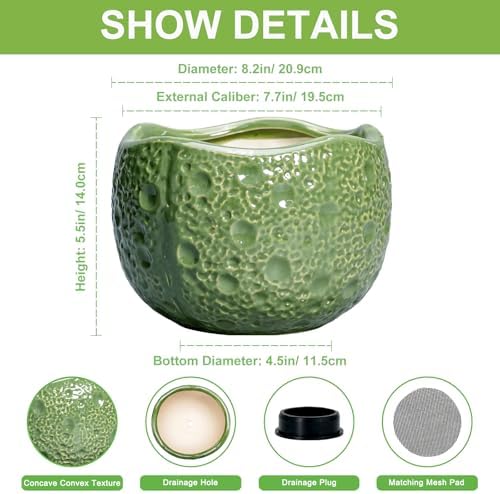 8 Inch Plant Pot - Ceramic Pots for Plants with Drainage Hole, Round Decorative Plant Pots for Indoor Outdoor, Modern Unique Flower Pot, Office Decor, Garden Gifts, Green - Image 2