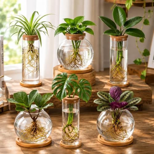 Honeydak 6 Pcs Plants Propagation Stations with Wooden Lid and Bamboo Stand - Image 5