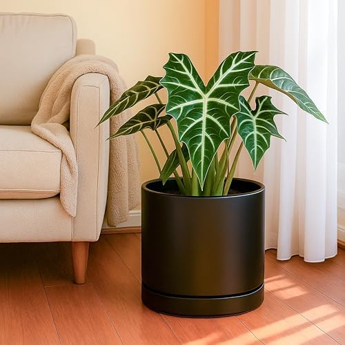 D'vine Dev 10 Inch Ceramic Planter Pot, Black, 94-O-E-2 - Image 2