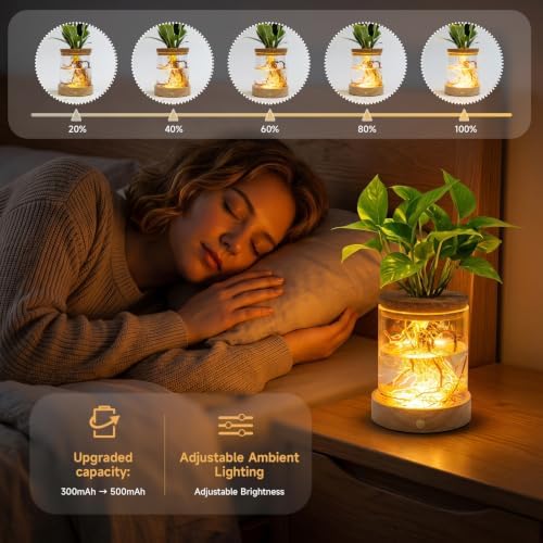 Plant Propagation Station with Wooden Saucer, Glass Terrarium with Dimmable Function Hydroponic Container Vase Jars Gardening Gifts for Mom Women Plant Lovers(4 Pack) - Image 4