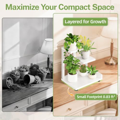 iDavosic.ly Table Top Small Plant Stand, Succulent Holder for Desk, White - Image 4