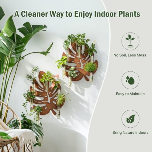2 Pack Monstera Hanging Wall Planter, Plant Propagation Station - Image 3