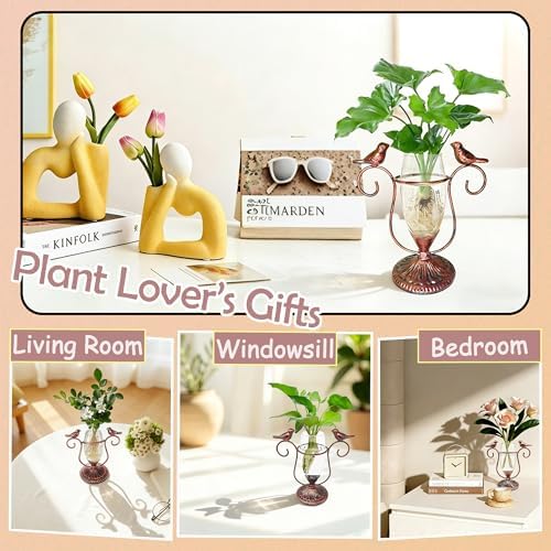 Desktop Plant Propagation Station, Plant Terrarium with Metal Stand - Image 2