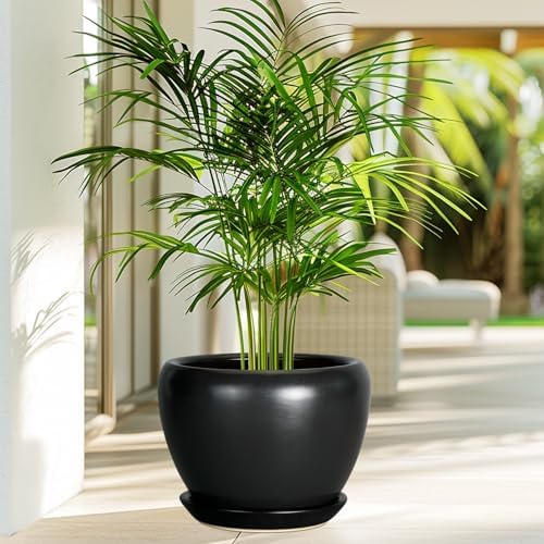 Ceramicfor Ceramic Planter Pot - 8 Inch Plant Pot with Drainage Hole and Saucer Round Planter for Indoor Plants Modern Outdoor Flower Pot for House Balcony Black - Image 2
