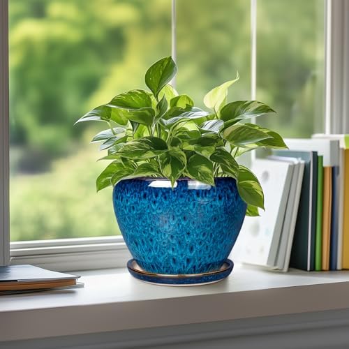 Ceramic Modern Glaze Succulent Planter Pot with Drainage Hole and Saucer 6 Inch Round Flower Plant Pot for Indoor Outdoor Herb Snake Plants - Image 5