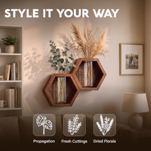 AVERGO Wall Plant Decor (2-Pack), Acacia Wood Indoor Wall Planter - Image 3
