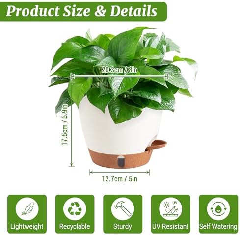 2 Pack 8 Inch Pots for Plants Indoor, Plastic Self Watering Planters - Image 3
