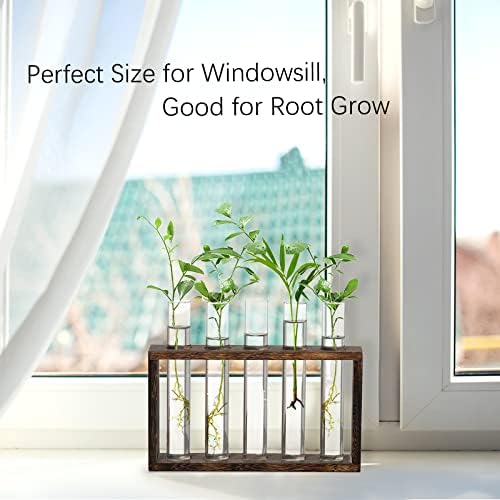 XXXFLOWER 5Test Tube Plant Propagation Station Plant Terrarium Wooden Stand - Image 3