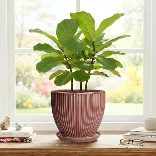 8 Inch Ceramic Flower Pots, Plant Pots Indoor with Drainage Hole and Saucer, Round Flower Pot for Indoor Plants, Decorative Modern Planter, Garden House Decor, Gardening Gifts, Rust Red - Image 7