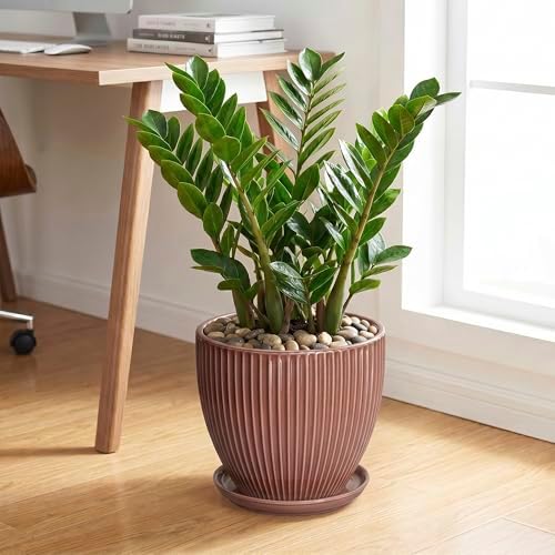 10 Inch Planter, Ceramic Flower Pot with Drainage Hole and Saucer, Round Indoor Plant Pots for Large Plants, Modern Decorative Planter, Home Kitchen Decor, Gifts for Men Women, Rust Red - Image 3