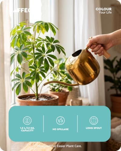 Baffect Watering Can Indoor Plants with Long Spout, 1.2L / 41oz (Glod) - Image 2