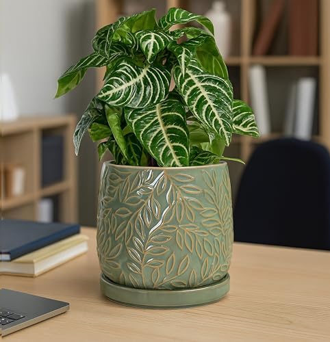 D'vine Dev Embossed Leaves Ceramic Planter, 6 in, Olive, 27-A-X-0 - Image 5