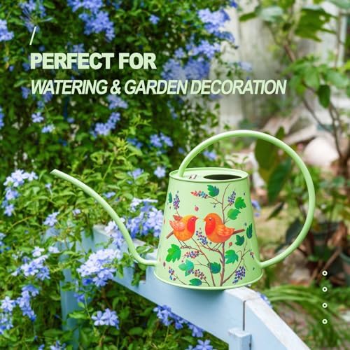 2L Long Spout Watering Can, Stainless Steel Water Can (Robin) - Image 6