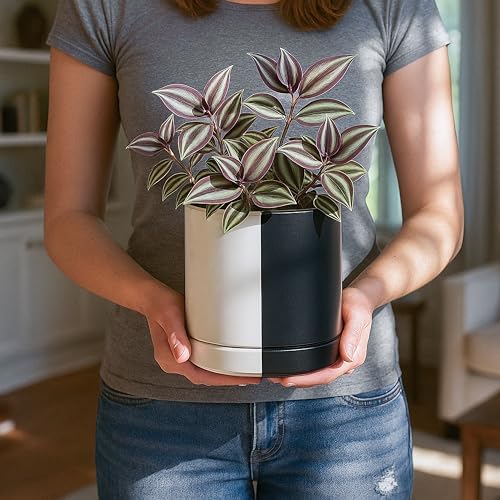 D'vine Dev 6.5 Inch Ceramic Planter Pot, Black White Split, 94-O-C-0 - Image 5