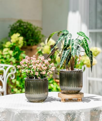 Melphoe 2 Pack Self Watering Hanging Planters Indoor Flower Pots, 5.3 Inch Outdoor Hanging Basket, Plant Hanger with 3Hooks Drainage Holes for Garden Home (Gray) - Image 3