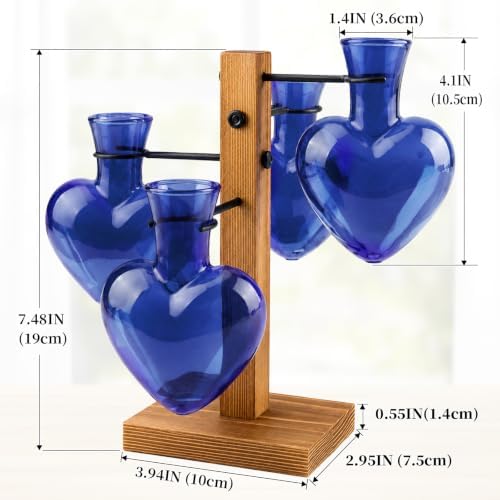 Plant Terrarium Propagation Station with 4 Heart Glass Vases - Deep Blue - Image 2