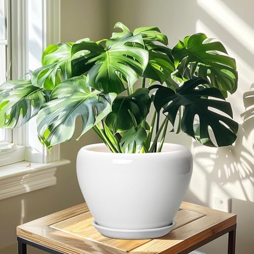 Ceramicfor Ceramic Pot for Plants - 10 Inch Planter with Drainage Hole and Saucer, Glaze Modern Round Flower Pot for Indoor Plants, Housewarming Gift, Home Decor, White - Image 6