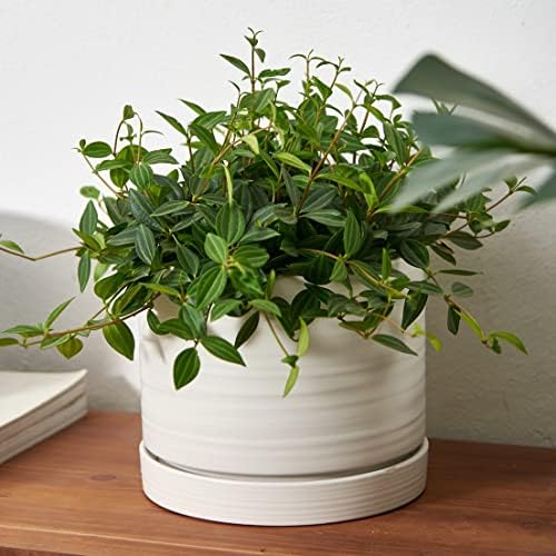 HERDUK 8 Inch Pots for Plants, Ceramic Planter Pot with Drainage Hole & Saucer, Indoor/Outdoor Cylinder Round Planter Pot, Matte White - Image 5