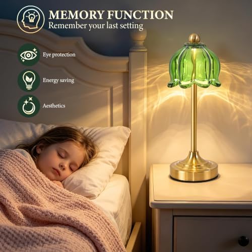 Cordless Touch Table Lamp,Rechargeable Lamp with Glass Shade - Image 3