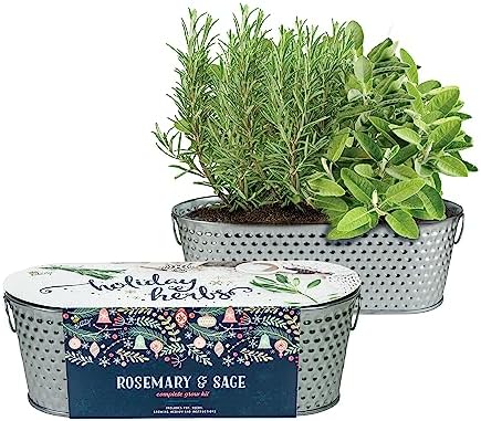 Buzzy Seeds Rosemary & Sage Herb Grow Kit, Metal Windowsill Planter by BUZZY