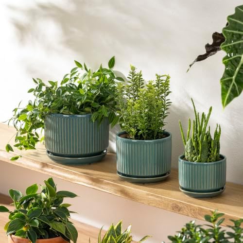SURE YUESI Ceramic Plant Flower Pots for Indoor Plant, 4.33"+5.5"+6.88", Set of 3, Orchid Pot with Drainage Hole, Saucer and Hole Mesh Pad for Succulents, Herbs and African Violet (Light Blue) - Image 3