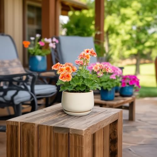 G EPGardening 4 inch Plant Pots - Ceramic Planter with Drainage Hole & Saucer, Small Plant Pots for Indoor Outdoor, Round Succulent Pot, Modern Decorative Flower Pot, Desk Decor, Garden Gifts, Beige - Image 4