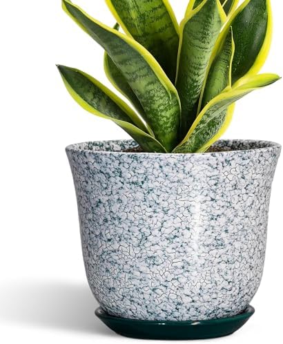 Ceramic Pots for Plants, 8 Inch Plant Pot for Indoor, Green by SUNPOTFOR