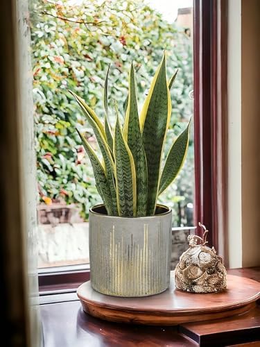 Oairse Small Ceramic Pot for Indoor Plants, 5.3 inch Plant Pot with Drainage Hole Decorative Texture Gold Planter Indoor Outdoor Flower Pots for Succulent Snake Plant Pothos Orchid - Image 6