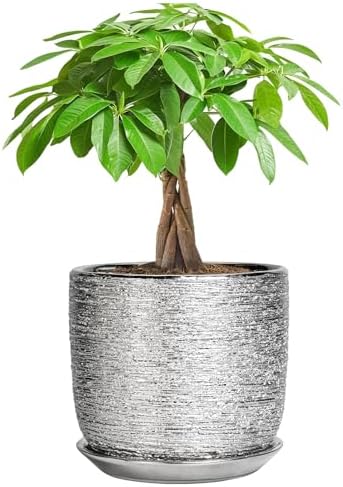 Ceramic Flower Pot - 7 Inch Ceramic Plant Pot for Indoor Flowers, Modern Outdoor Round Planter with Drainage Hole and Saucer, Gifts for Plant Lovers, Home Garden Decor, Silver by SUNPOTFOR