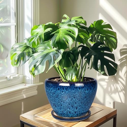 Ceramicfor 10 Inch Ceramic Planter Pot, Ceramic Plant Pot for Indoor Outdoor Plants, Large Flower Pot with Drainage Hole and Saucer, Blue - Image 4