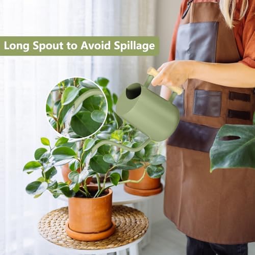 Watering Can Indoor Plants, 35oz Small Indoor Stainless Steel Metal Watering Can Modern Decorative Watering Pot with Long Spout for Indoor House Plant Bonsai Garden Flowers (Sage Green) - Image 2