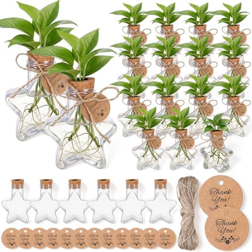 24 Pack 3.74'' Star Plastic Plant Propagation Stations with Hole Lid by Baderke