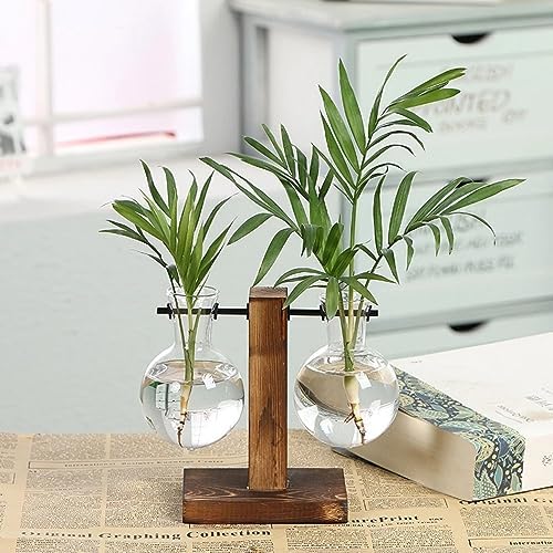 Hydroponic Plant Vases with Wooden Stand, Desktop Clear Glass Bulb Shape Vase Terrarium Planter Holder for Office Desk Wedding Decor, 2-Glass Beaker Bulbs by SlenyuBridal