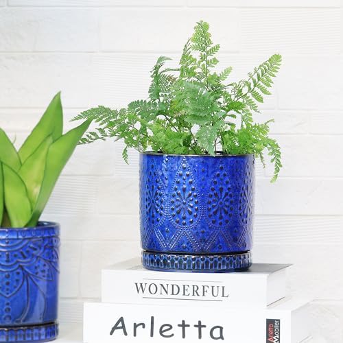 8 Inch + 6 Inch Indoor Plant Pot with Drainage Holes and Saucers, Ceramic Planter for Plants Succulent Orchid Flower Pots - Image 7