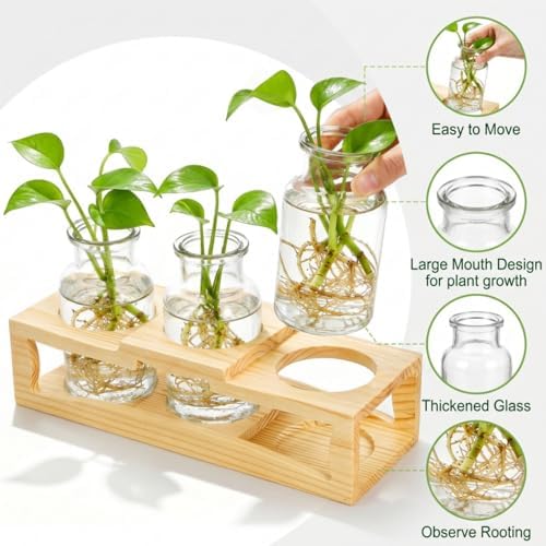 Eorbow Plant Propagation Station, Desktop Plant Terrarium with Wood Stand, Retro Propagation Vases Glass Planters for Indoor, Hydroponic Plant Propagating Jars for Home Office Decor, Plant Lover Gifts - Image 3