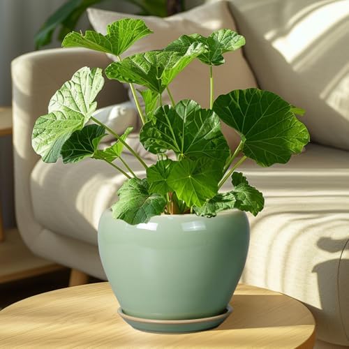 Ceramicfor 8 Inch Plant Pot - Ceramic Planter for Outdoor Plants Indoor Plant Pot with Drainage Hole and Saucer Mid-Century Round Planter Flower Pot for House Garden Green - Image 7