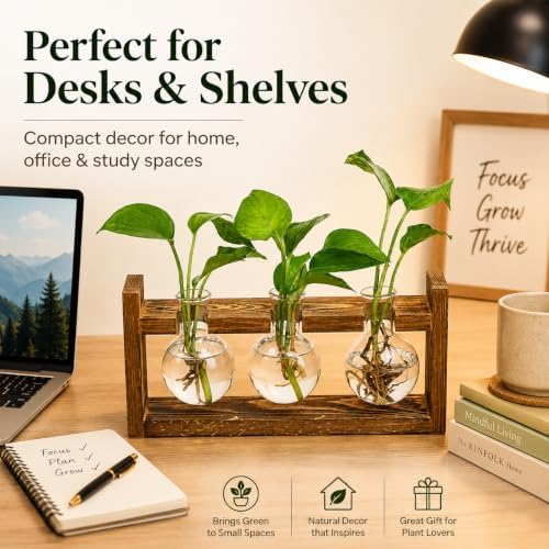Glass Plant Propagation Station, 3 Glass Bulb Vases - Image 7