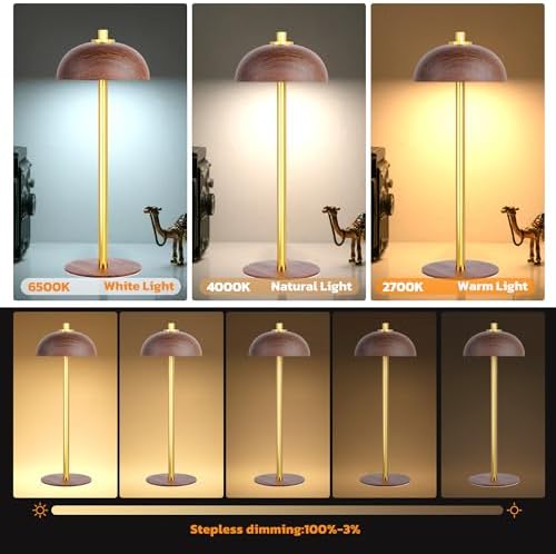 2 Pack Cordless Table Lamp Rechargeable, 5000mAh Battery Table Light - Image 2