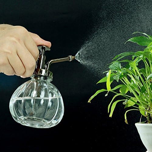 Flower Water Spray Bottle Can Pot Plant Mister | Vintage Pumpkin Style Decorative Glass Plant Atomizer Watering Can Pot with Pump for Terrariums Flowers Potted Plants (Clear) - Image 2