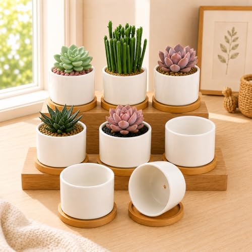 ZOUTOG 8 Pack 3.1" Ceramic Succulent Pots,White Planter with Drainage Tray by ZOUTOG