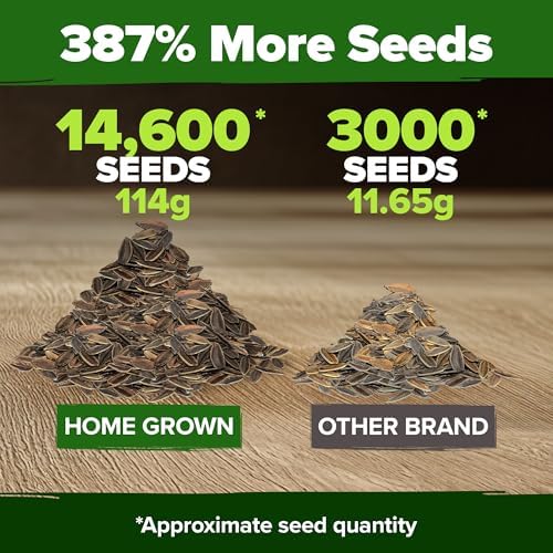 HOME GROWN California Giant Mix Zinnia Seeds, 14,600+ Seeds, Zinnia elegans - Image 3