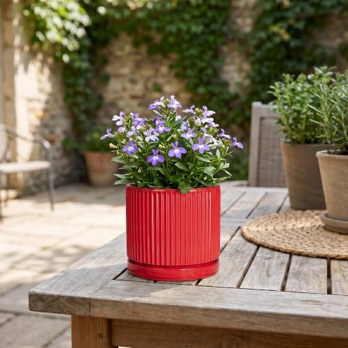 Ceramic Pots for Plants, 4 Inch Planter, Round Plant Pots, Red - Image 7