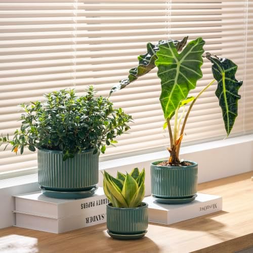 SURE YUESI Ceramic Plant Flower Pots for Indoor Plant, 4.33"+5.5"+6.88", Set of 3, Orchid Pot with Drainage Hole, Saucer and Hole Mesh Pad for Succulents, Herbs and African Violet (Light Blue) - Image 2