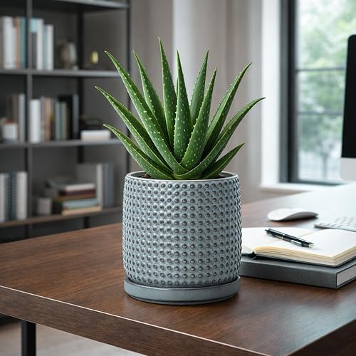 D'vine Dev Beaded Ceramic Pot with Saucer, 6 in, Graphite Blue, 27-C-X-9 - Image 6